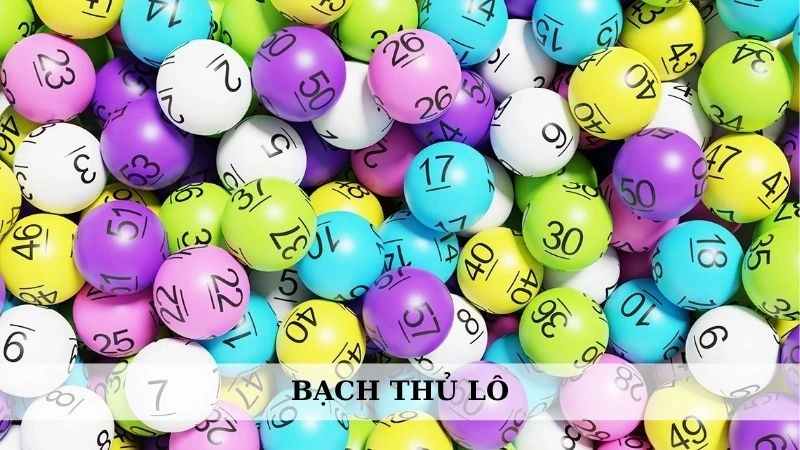 Bạch thủ lô