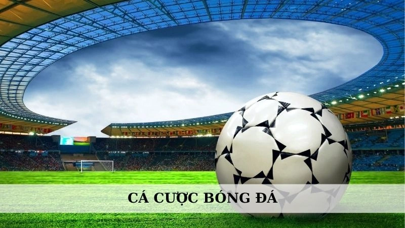 Cá cược bóng đá