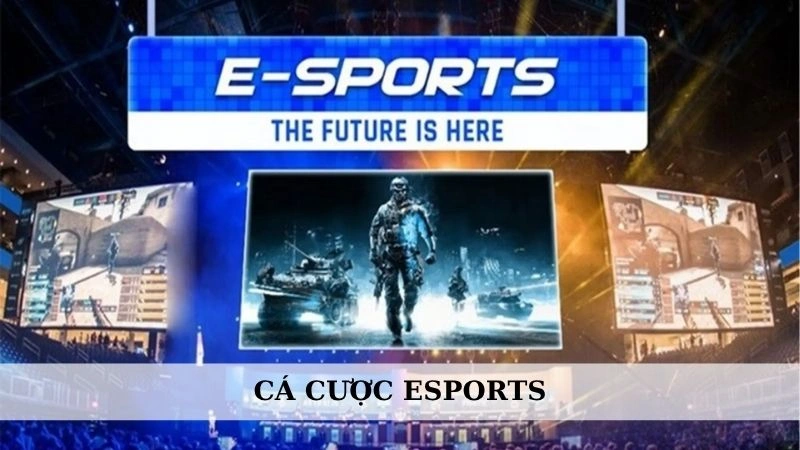 Cá cược Esports